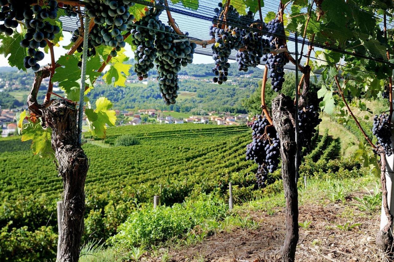 Conca Bella Boutique Hotel & Wine Experience Vacallo Dış mekan fotoğraf