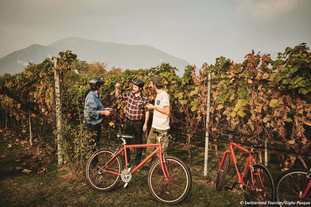 Conca Bella Boutique Hotel & Wine Experience Vacallo Dış mekan fotoğraf